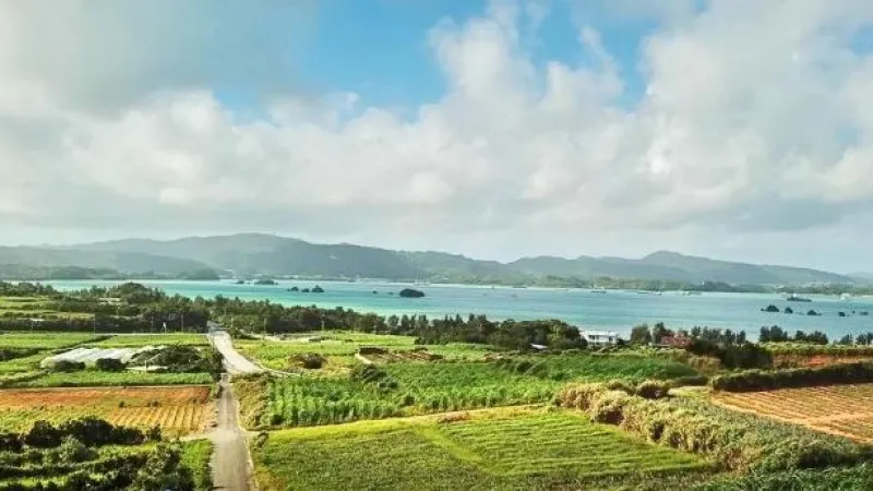 屋我地島