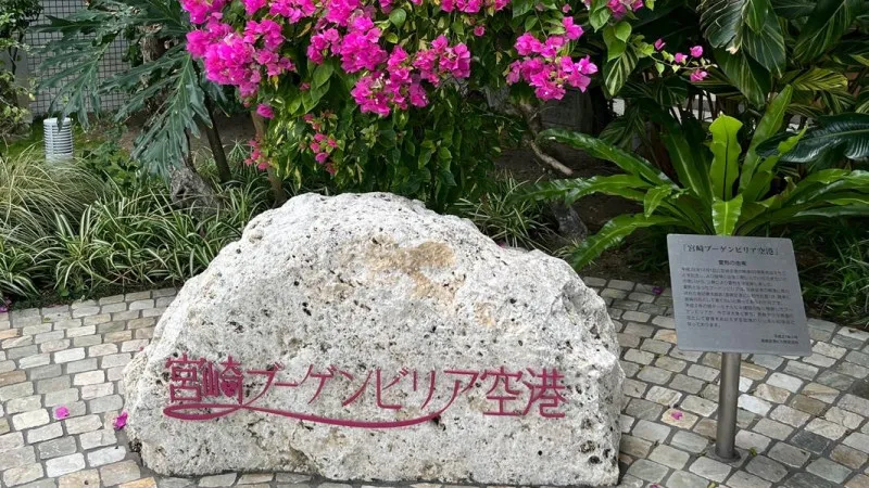 宫崎布干维尔机场
