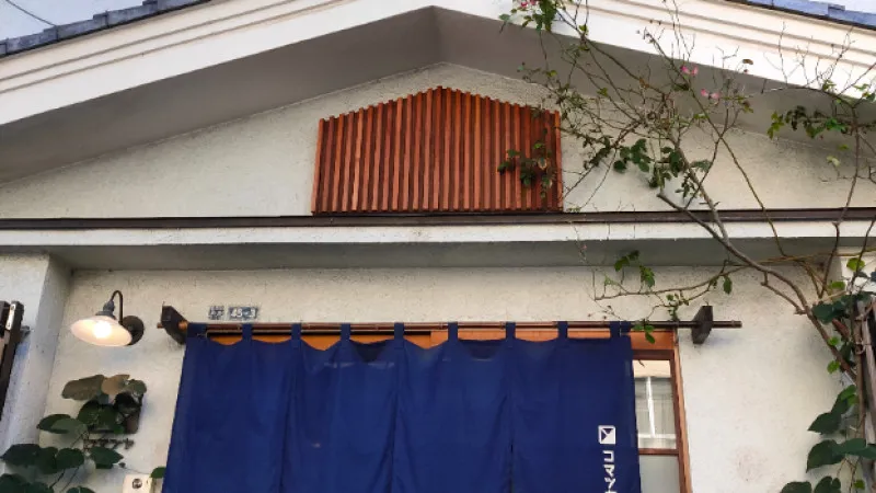 美国知更鸟