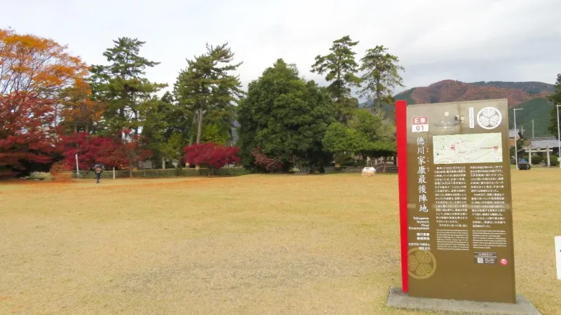 Tokugawa Ieyasu's last stand