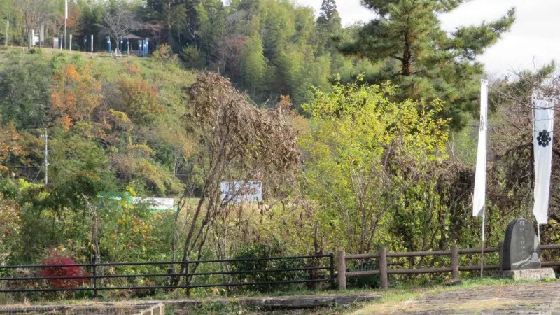 Hosokawa Tadaoki Camp Site
