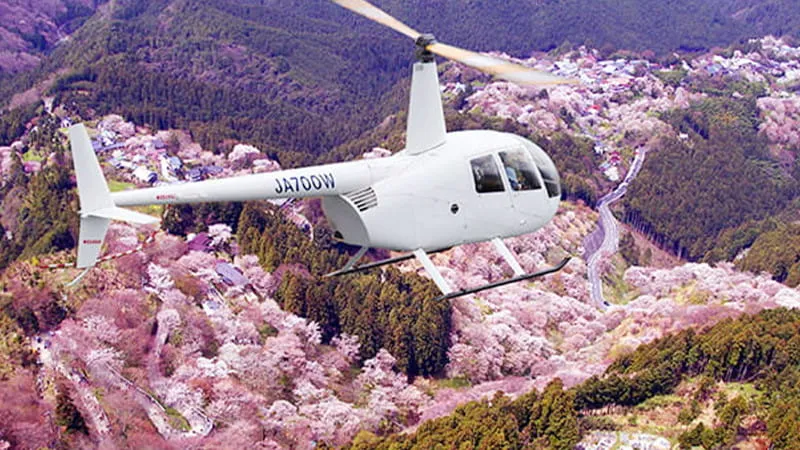 「空の特等席」からお花見してみませんか