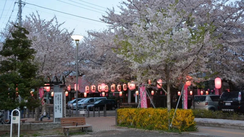 地域住民のアイデアで整備された「染井よしの桜の里公園」