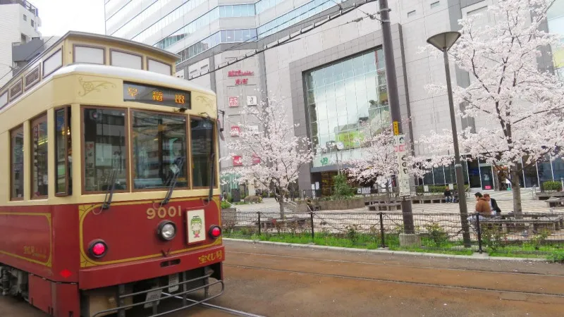 「東京さくらトラム」が運行される大塚
