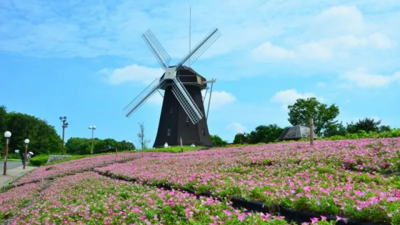 Hanahaku Kinen Park Tsurumi-ryokuchi