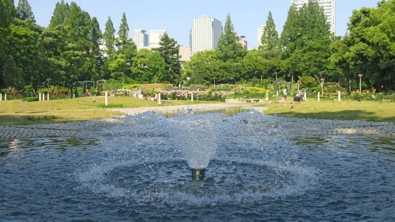 TEN-Park