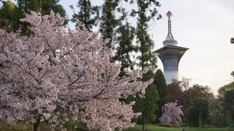 Tsurumi Ryokuchi Park