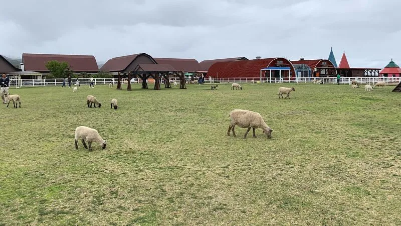 World Ranch