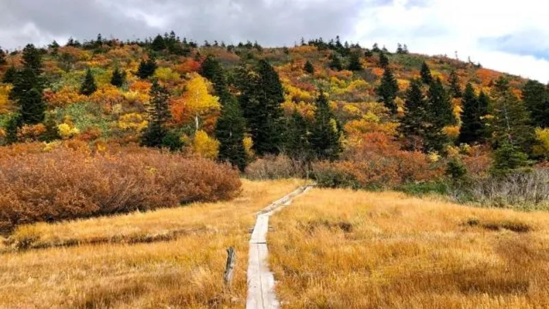 八甲田山