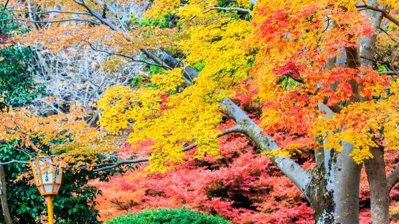 比叡山