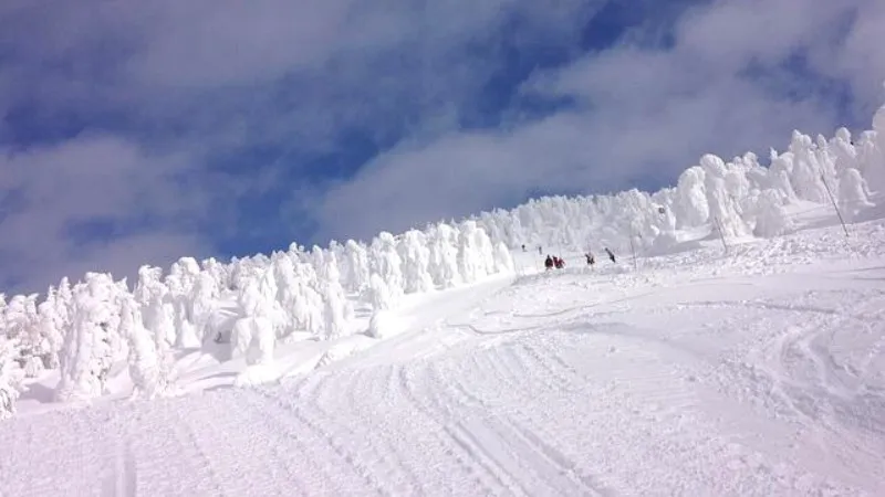 山形県　蔵王の樹氷