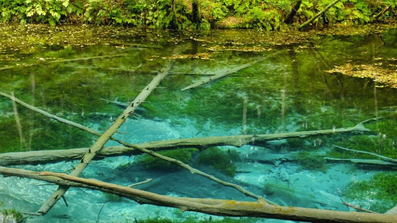God's Child Pond