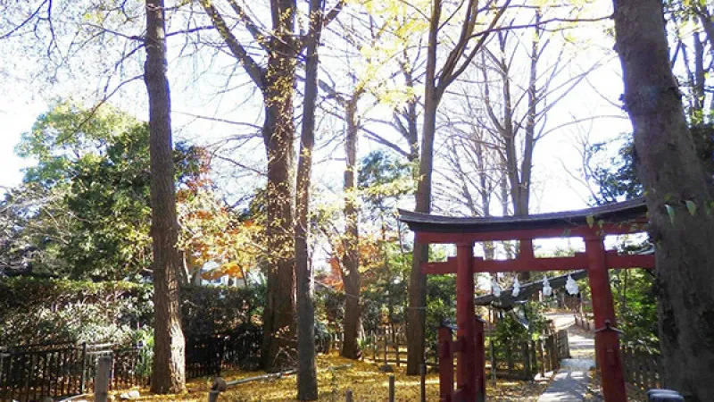 In the precincts of the temple