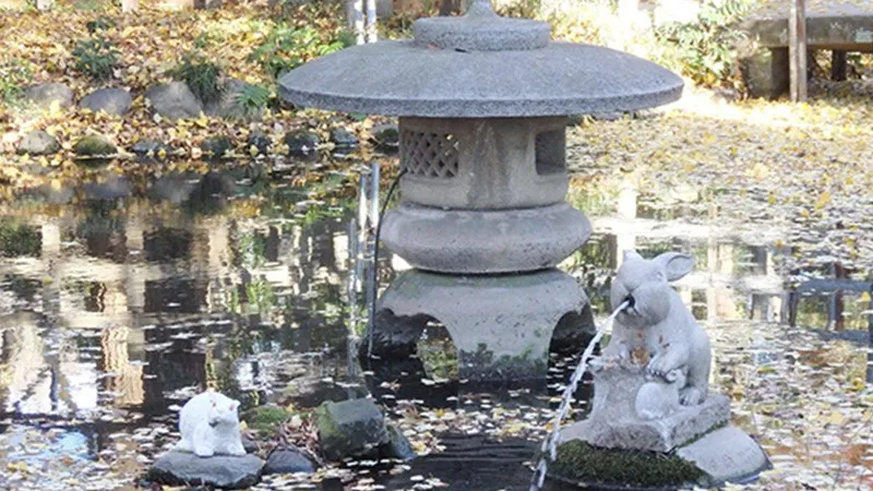 Center of the pond