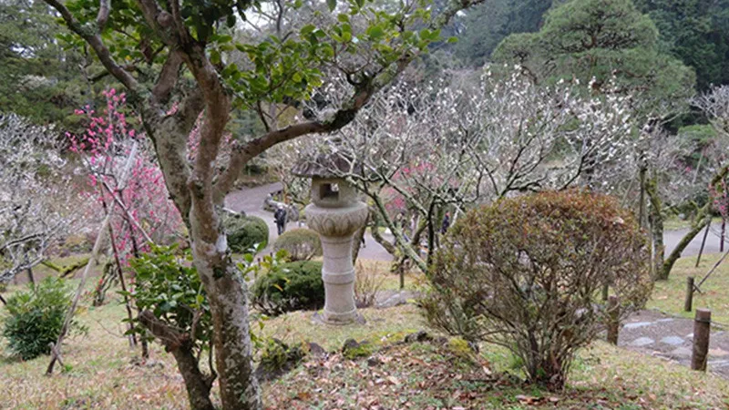 건너뛰기
