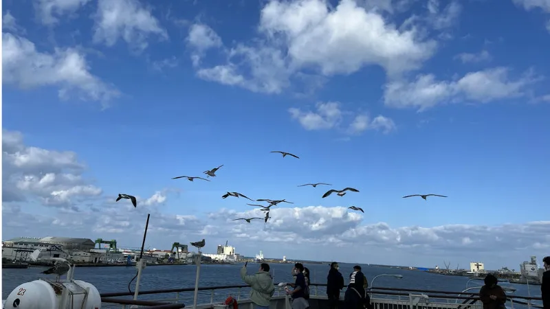 skip