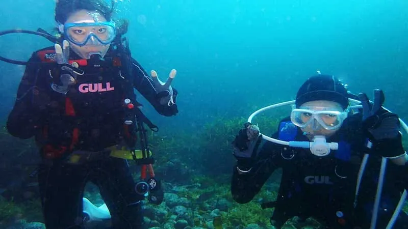 "Enjoy the sea! Enjoy nature!"
