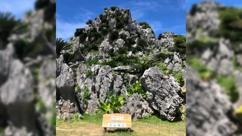 볼더우드 힐