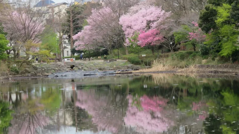 県立三ツ池公園（横浜市）