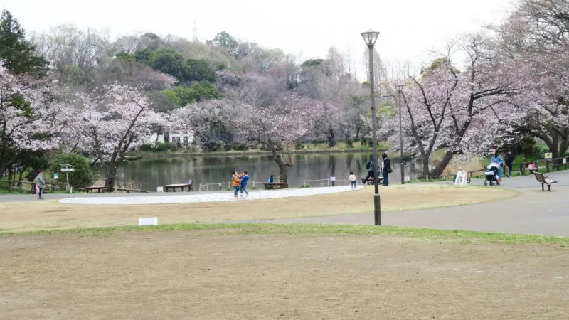 3つの池を中心に広がる自然
