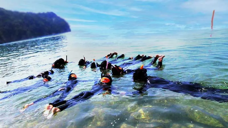 Beach snorkeling experience, perfect for marine sports beginners! 