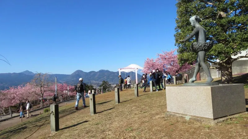 園内の充実した施設と眼下に広がる絶景