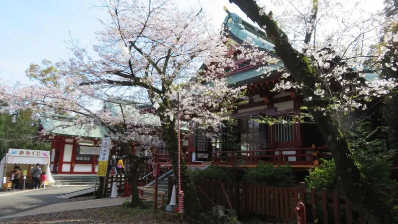静冈市的静冈浅间神社,在 "静冈节 "期间,"大帝国游行 "在这里折返。