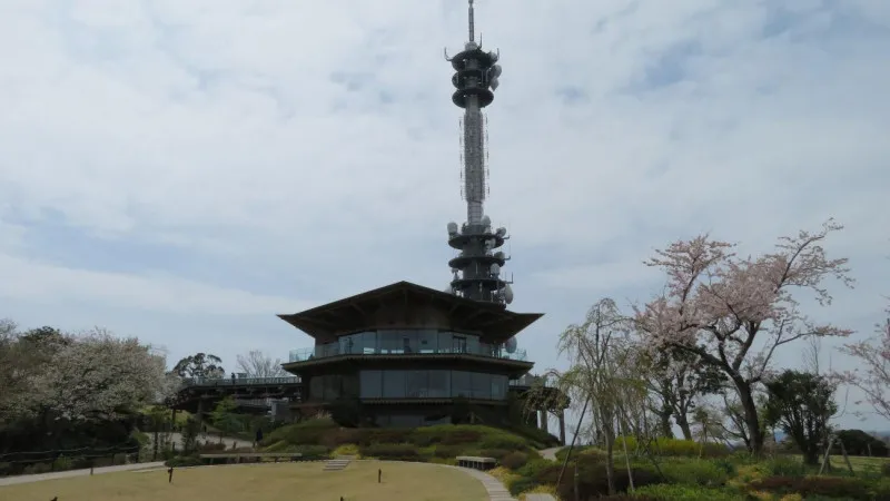 Nihondaira Yume Terrace(静冈市),你可以在樱花上仰望富士山。
