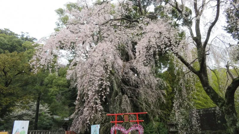 跳过
