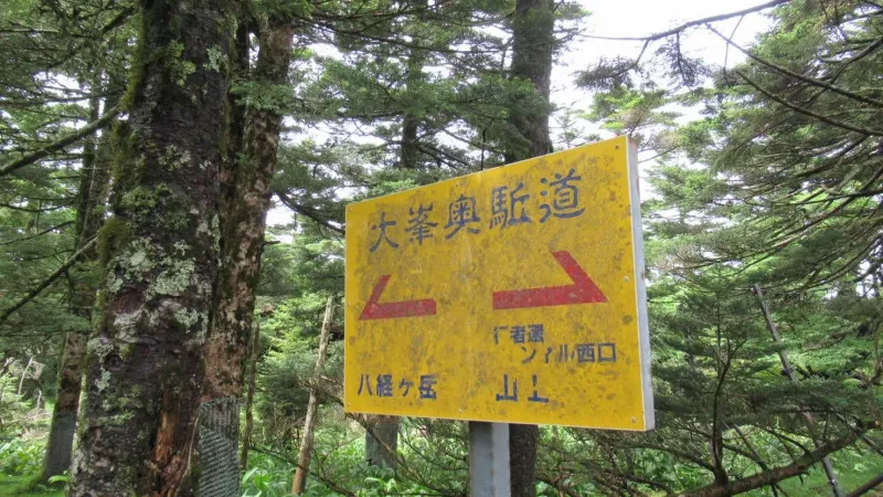 Walking the mountainous Shugen no Michi "Omine Okugakemichi "