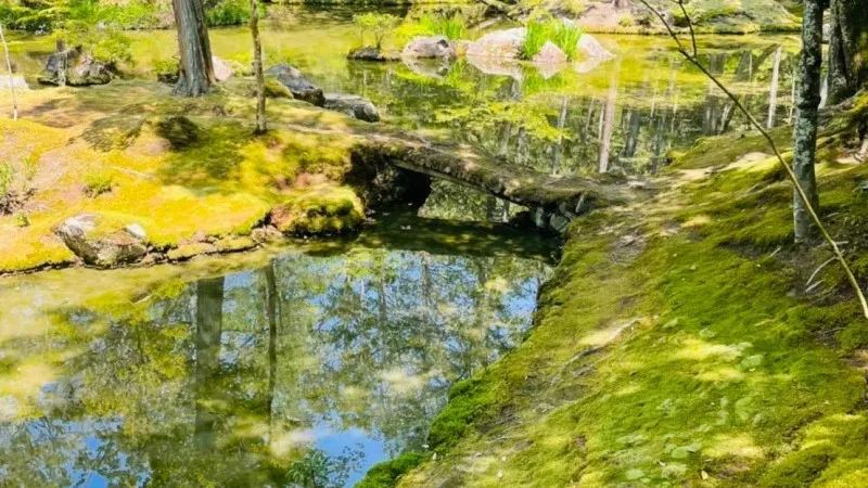 Get away from the city and be healed by beautiful moss "Saiho-ji Temple "