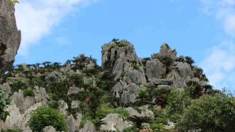 大石林山