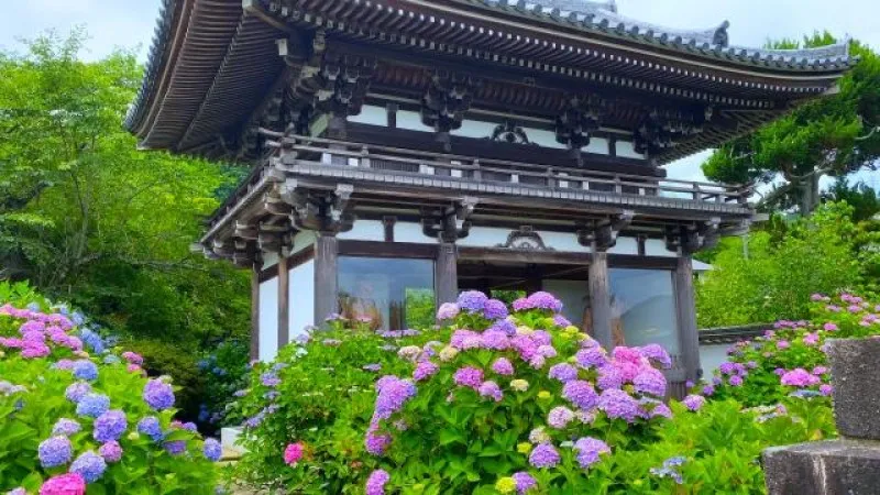 Kannon Temple, Tanshu, Kyoto, Japan