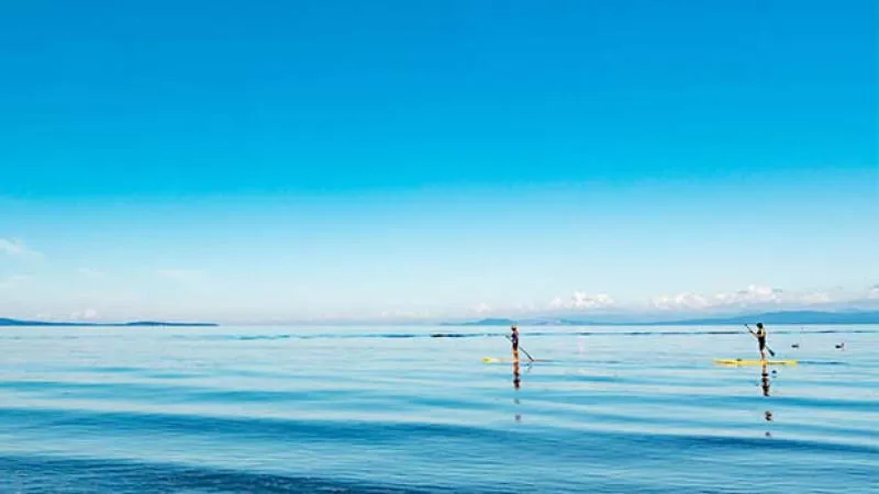 【오사카】코로나 사태에도 즐길 수 있는 여름방학 특집! 바다・강에서 하는 SUP（Stand Up Paddle）체험, SUP 요가 체험
