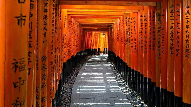 京都でおすすめの寺7選！京都観光で押さえたい寺をご紹介します