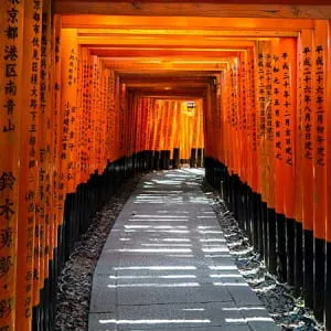 京都でおすすめの寺7選！京都観光で押さえたい寺をご紹介します