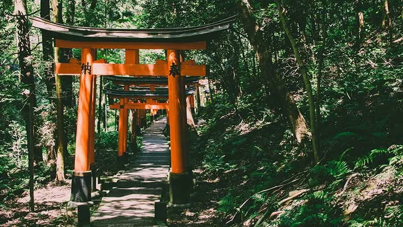 【京都】恋愛祈願！縁結びで有名な神社・寺8選