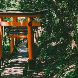 【京都】恋愛祈願！縁結びで有名な神社・寺8選