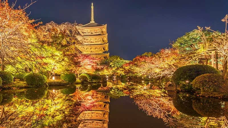 [Kyoto ]Walkable! 7 recommended sightseeing spots around Fushimi Inari