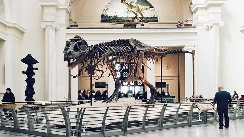 [Osaka ]Fun to go! Enjoyable and informative! 5 museums