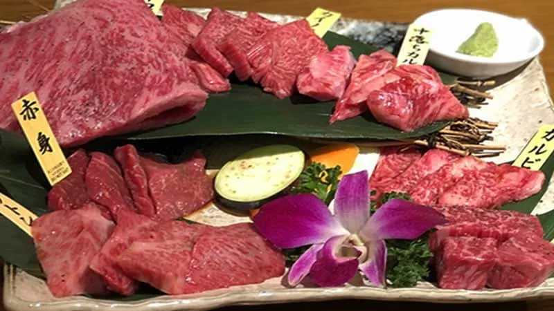 成人镇大阪站附近推荐的10家烧肉店