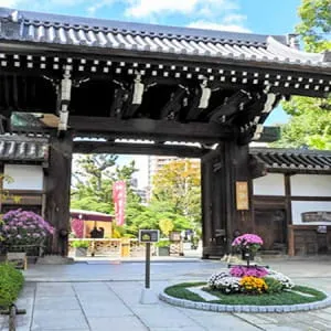 兵库 这里是神户一中历史建筑的最佳观赏地!7个必去的景点