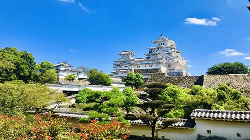 【兵庫】子どもと一緒に楽しめる！兵庫のおでかけ・観光スポット7選