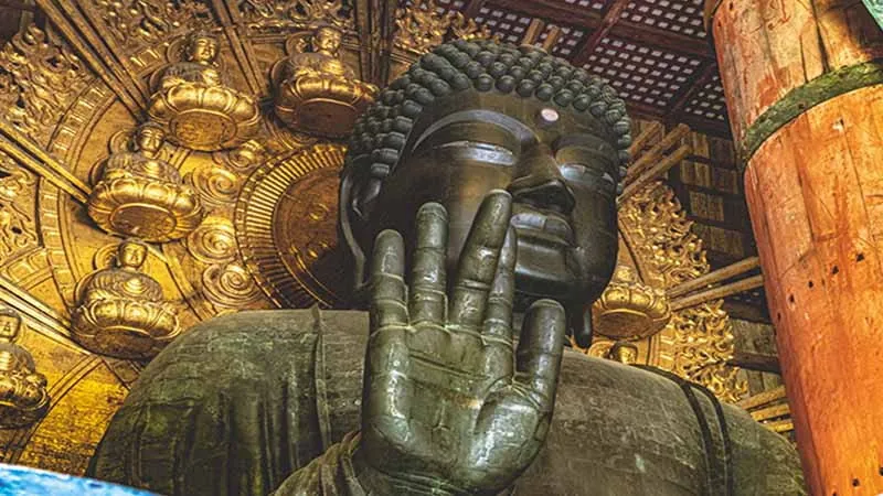 【Nara】Chosen by locals! 7 recommended sightseeing spots in Nara!