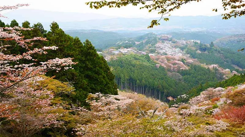 [Nara ]8 perfect spots for a date to see the healing landscape in sightseeing.