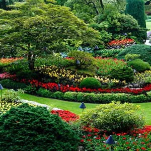 【東京】美しい庭園や自然いっぱいの公園で癒されよう！おすすめの園厳7選！