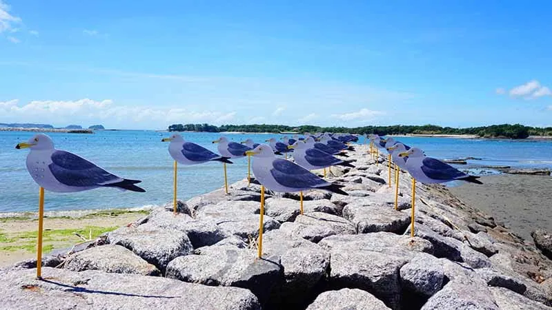 This is the place to see unforgettable and spectacular nature and scenery in Aichi!