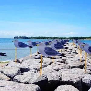 This is the place to see unforgettable and spectacular nature and scenery in Aichi!