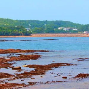[Aichi ]Introducing some of the very best places to relax and sightsee in Aichi!