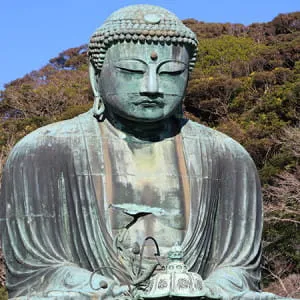 神奈川 来神奈川就该去看看!7个推荐的寺庙和神社